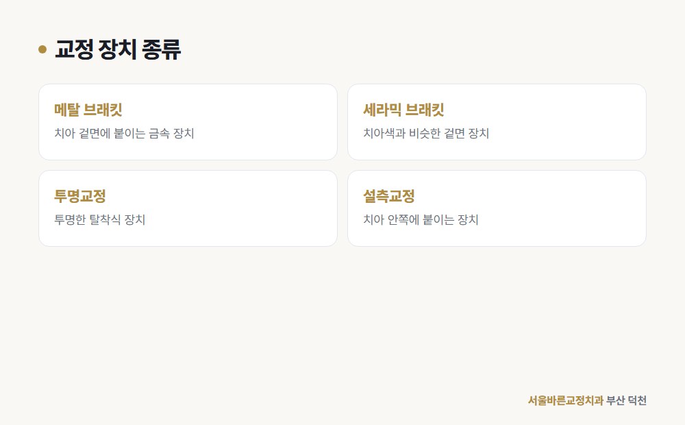 교정 장치 종류 도해