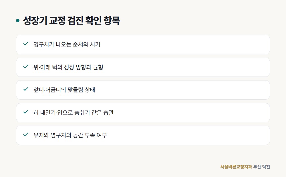 성장기 교정 검진에서 확인하는 것 도해