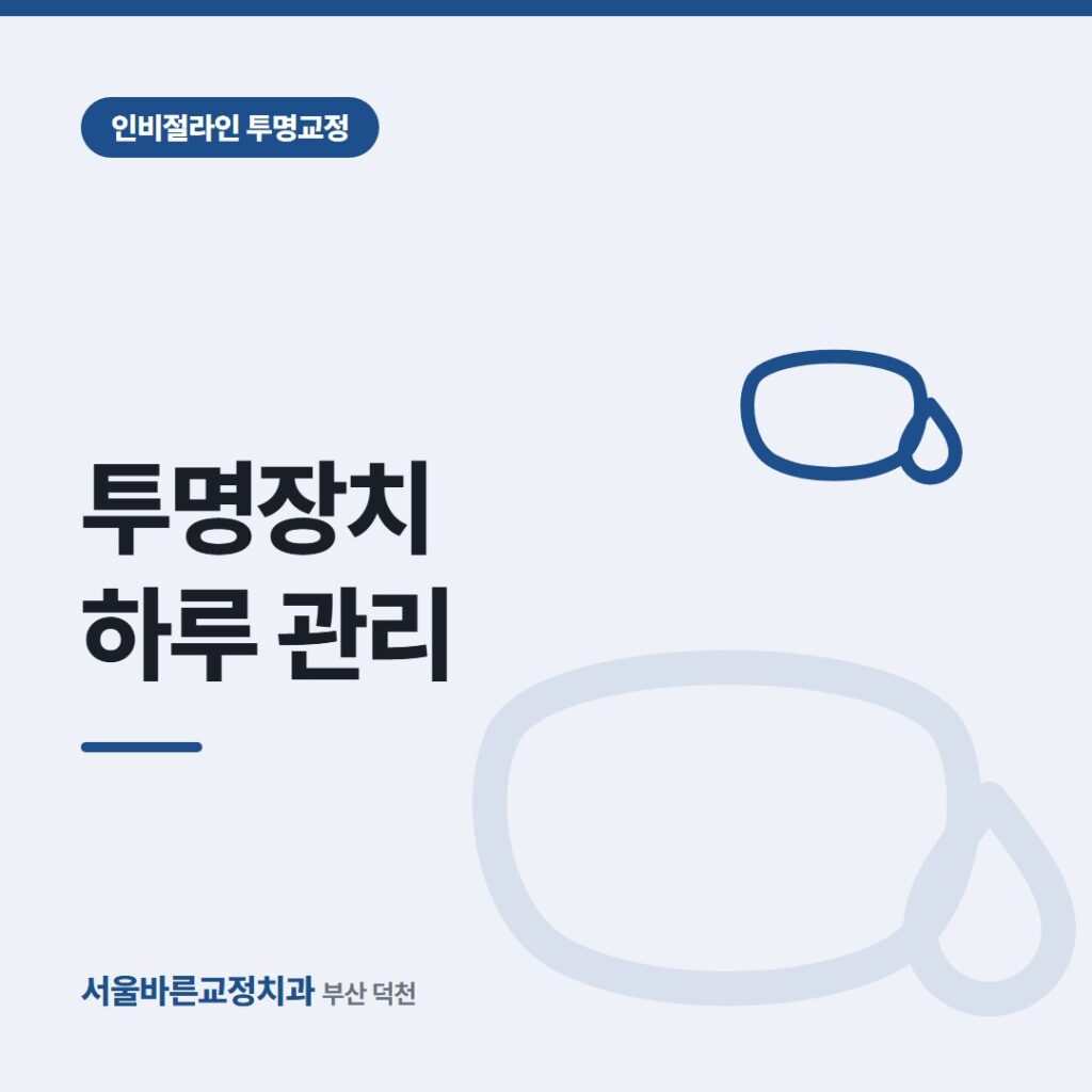 투명교정 장치 하루 관리 카드